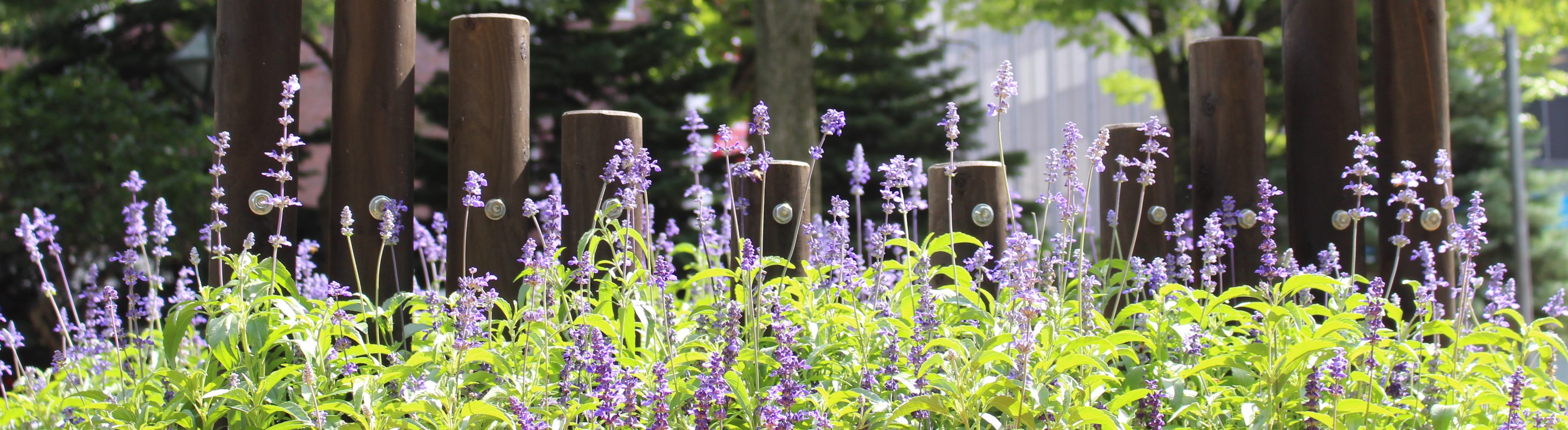 コネクト施設紹介